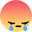 sadgery reaction emoji