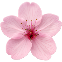 pinksakuraflower Discord emoji