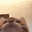 cat cat emoji