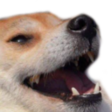 doggokek meme emoji