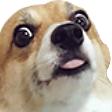 JoliShit Discord emoji