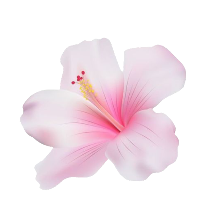 hibiscus Discord emoji