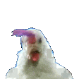 chickenheads Discord emoji