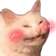 catblush Discord emoji