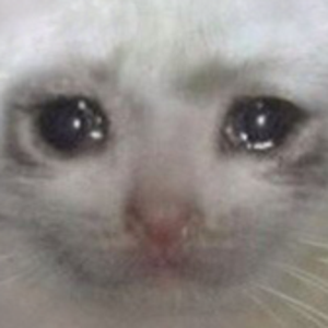 sadcat Discord emoji
