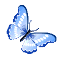 butterfly Discord emoji
