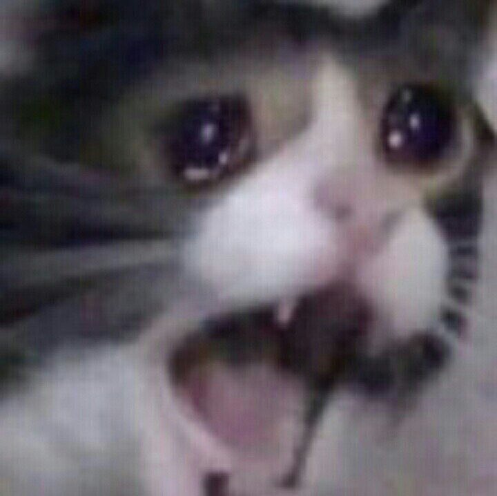 cryingcat Discord emoji