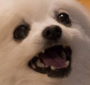 aaaa Discord emoji