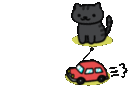 NekoAtsumeCar cat emoji