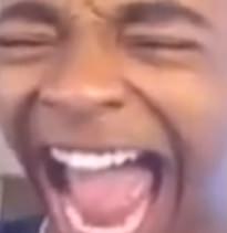 DolphinLaugh funny emoji