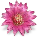 flower-cactus Discord emoji