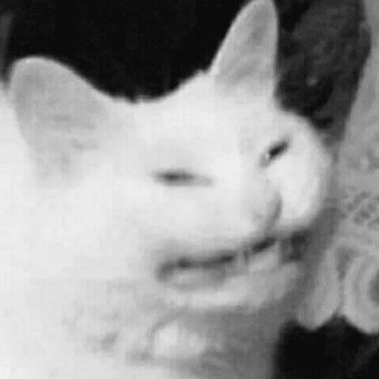 CryingNiall Discord emoji