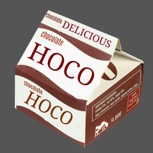 HocoForSchool Discord emoji