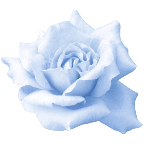blue-rose Discord emoji