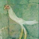 Chokn Discord emoji
