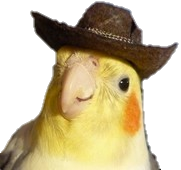 Caraipsita Discord emoji