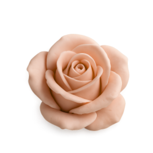terracottarose Discord emoji