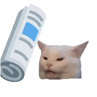bonkcat Discord emoji