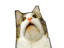 Uwat Discord emoji