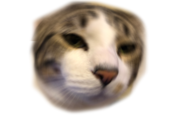 trevorsayswut Discord emoji