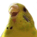 screm Discord emoji