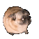 pugdance Discord emoji