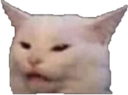 -14844 Discord emoji