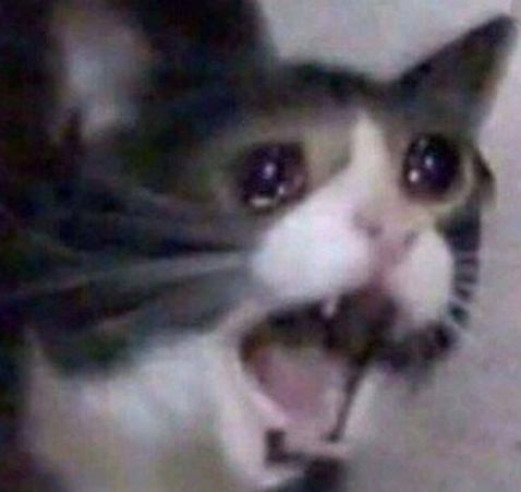 no Discord emoji