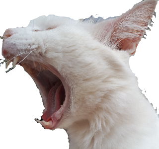 CatScream cat emoji
