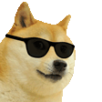 cooldoge Discord emoji