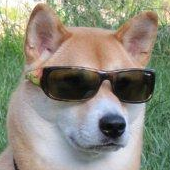 cooldoggo Discord emoji