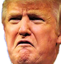 TrumpDisgust Discord emoji