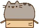 PusheenBox Discord emoji