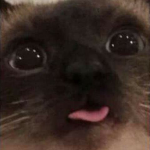 blep Discord emoji
