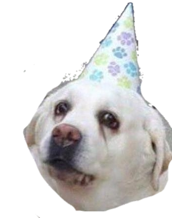 doggo2 dog emoji