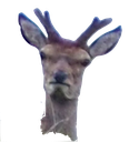 deer23 Discord emoji