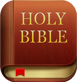 holy_bible Discord emoji