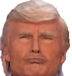 Fake_Trump Discord emoji