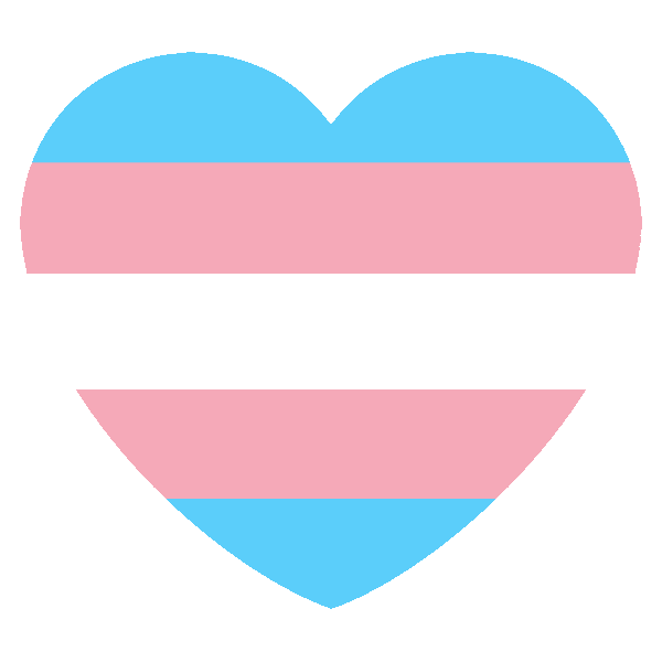 TransgenderHeart Discord emoji