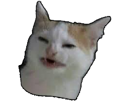 catnobanana cat emoji