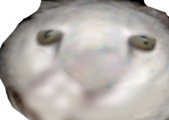 WRIWD Discord emoji