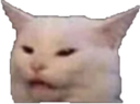 tf Discord emoji
