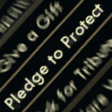 pledge_to_protect Discord emoji