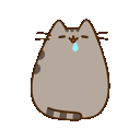 PusheenDrool Discord emoji