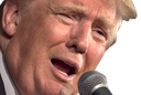 TrumpSpeech Discord emoji