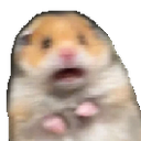 hamsterr Discord emoji